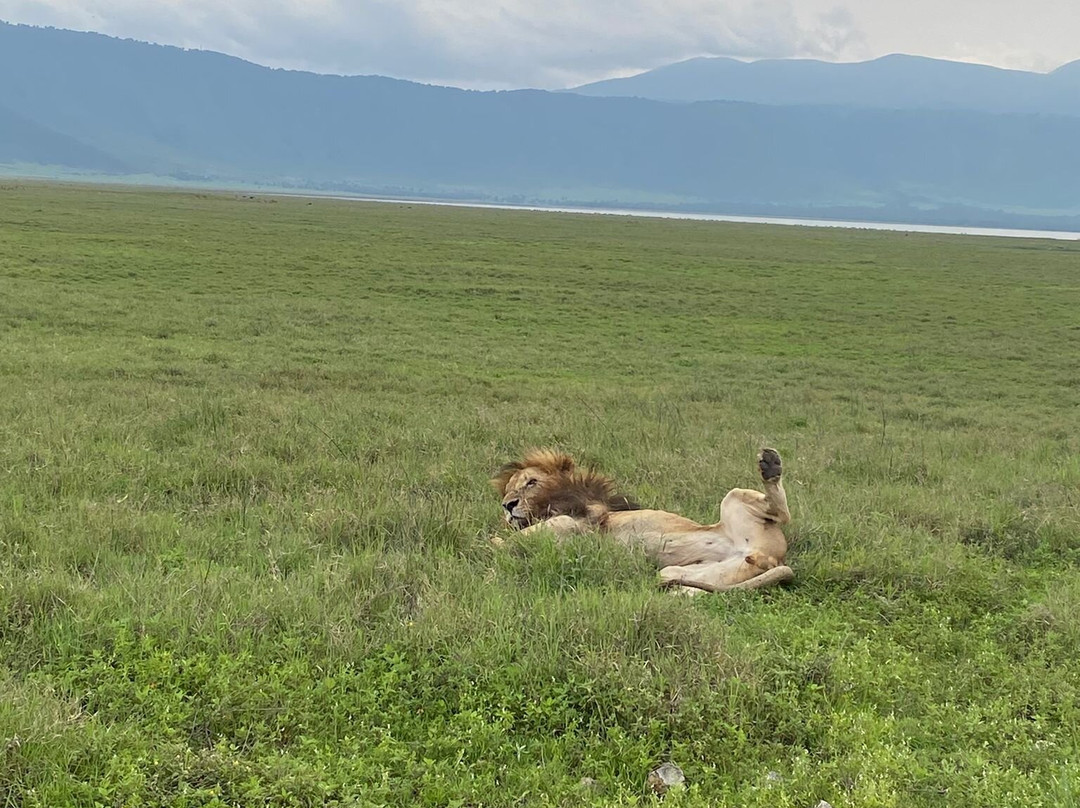 NICE ADVENTURE SAFARI-Dar es Salaam必去景点