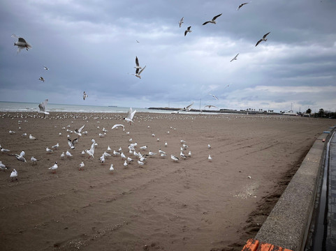 Atakum Sahili-萨姆森必去景点