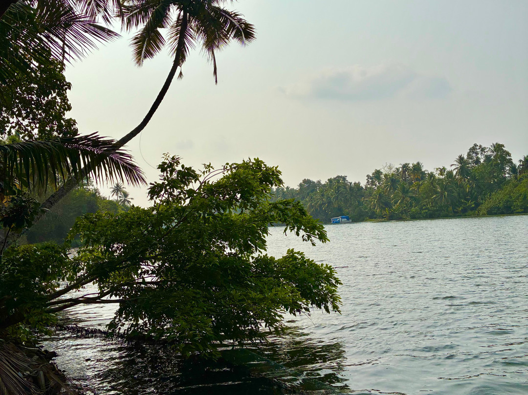 GreenChromide Homestays主图