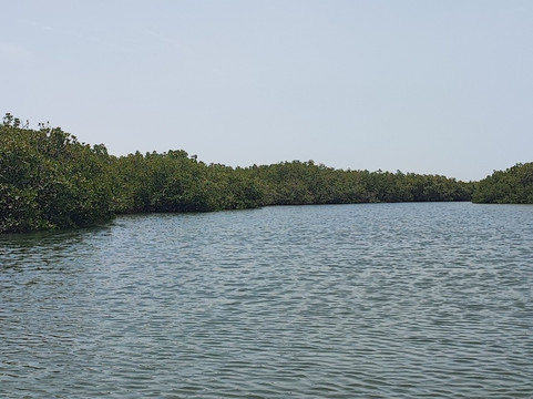 Iles du Saloum Decouverte-Ndangane必去景点