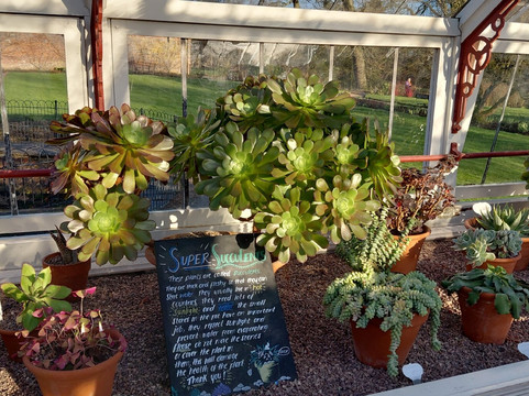National Trust - Quarry Bank-威姆斯洛必去景点