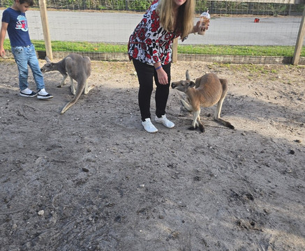 Animal Edventure Park-博因顿海滩必去景点