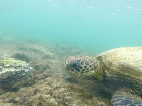Playa Baquerizo-Puerto Baquerizo Moreno必去景点