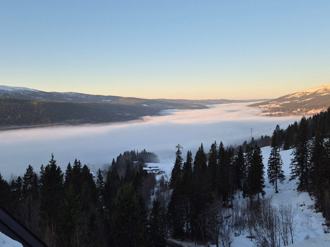 菲耶加尔登滑雪进出酒店主图