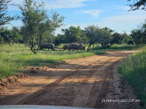 Mabalingwe Nature Reserve-贝拉贝拉必去景点