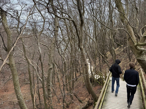 Møns Klint-Moen必去景点