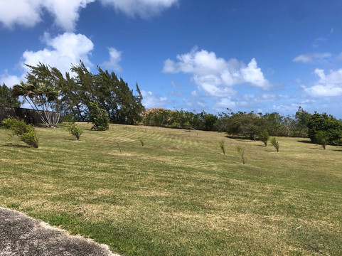 Mount Gay Rum Distillery-Benthams必去景点