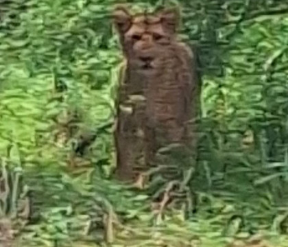 Discovery Kenya con Fragola-瓦塔木必去景点