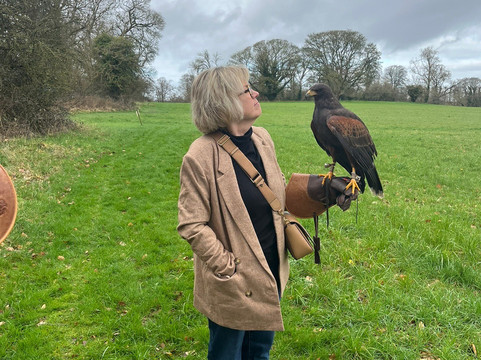 Hawkeye School of Falconry-基尔肯尼必去景点