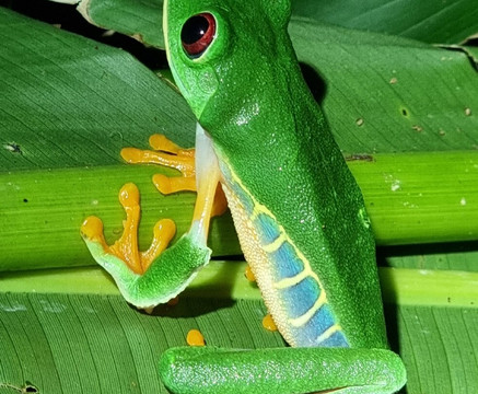 Tarantulas Way-卡维塔必去景点