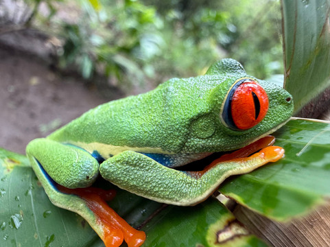 Allan Explorer-Upala必去景点