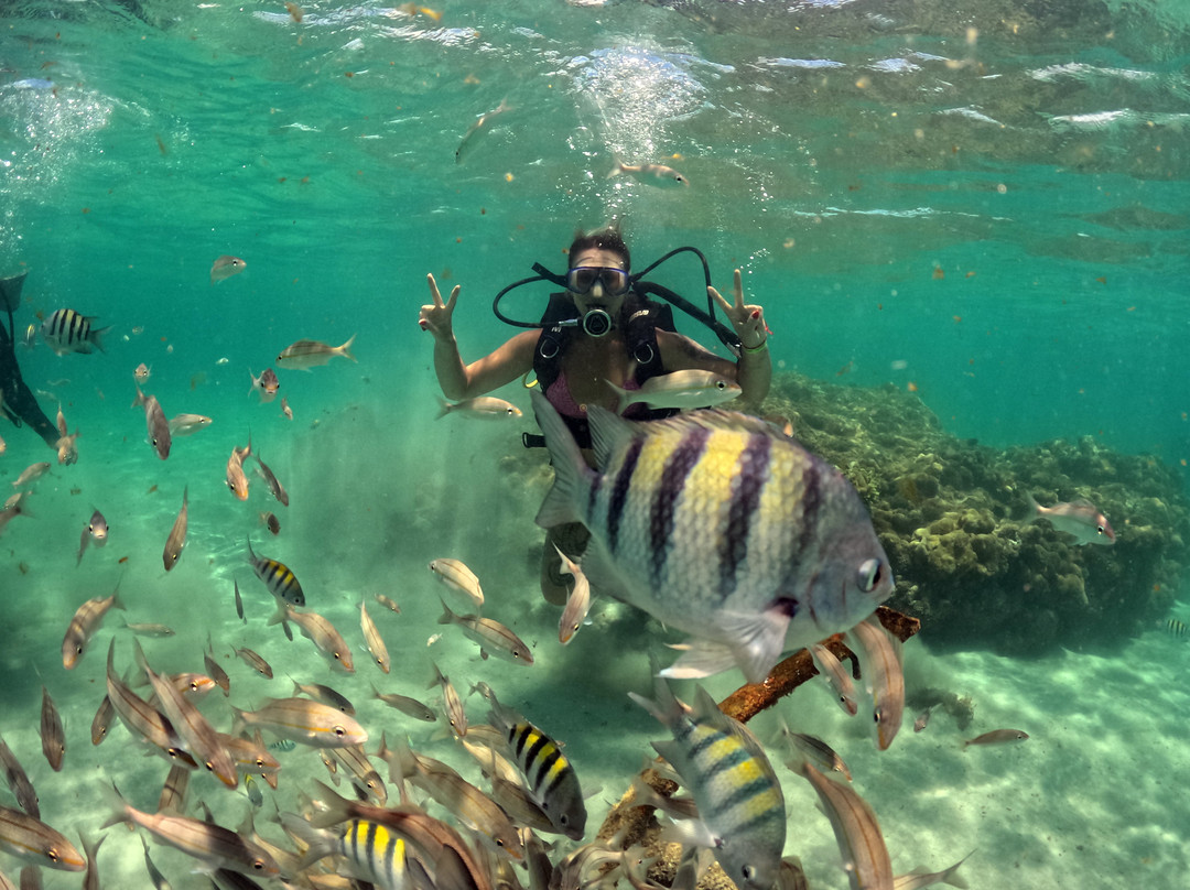 Marazul Receptivo-Natal必去景点