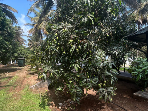 马吉非拉旅馆主图