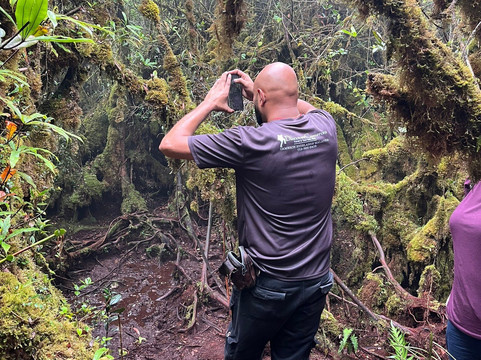 Discover Camerons-丹那拉塔必去景点