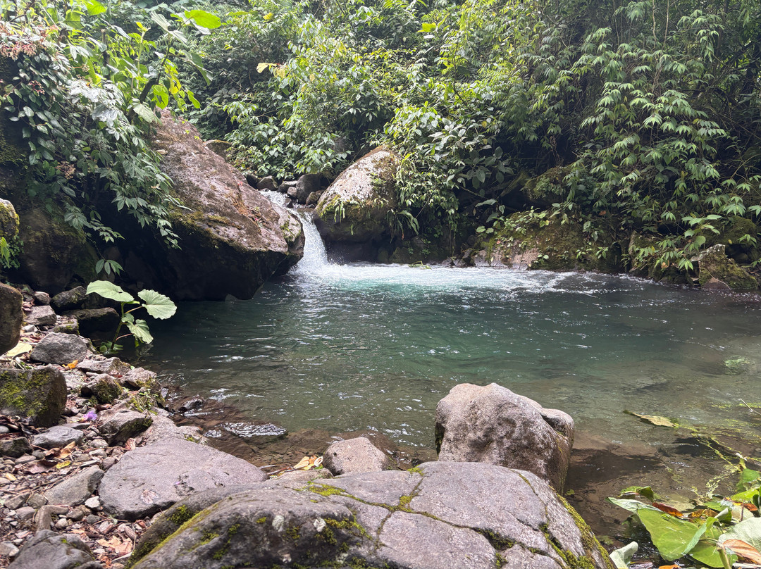Finca Ecologica San Luis-蒙特沃德必去景点