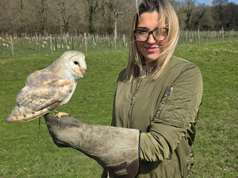 UK Owl And Raptor Centre-Groombridge必去景点