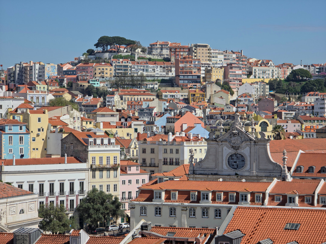 Avenida Tours Portugal - Tourguides Portugal-里斯本必去景点