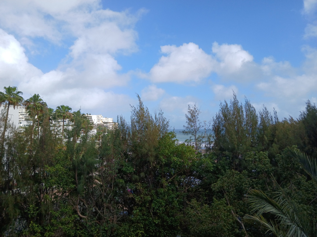 公牛加纳利海岸 SPA 酒店 - 限成人主图