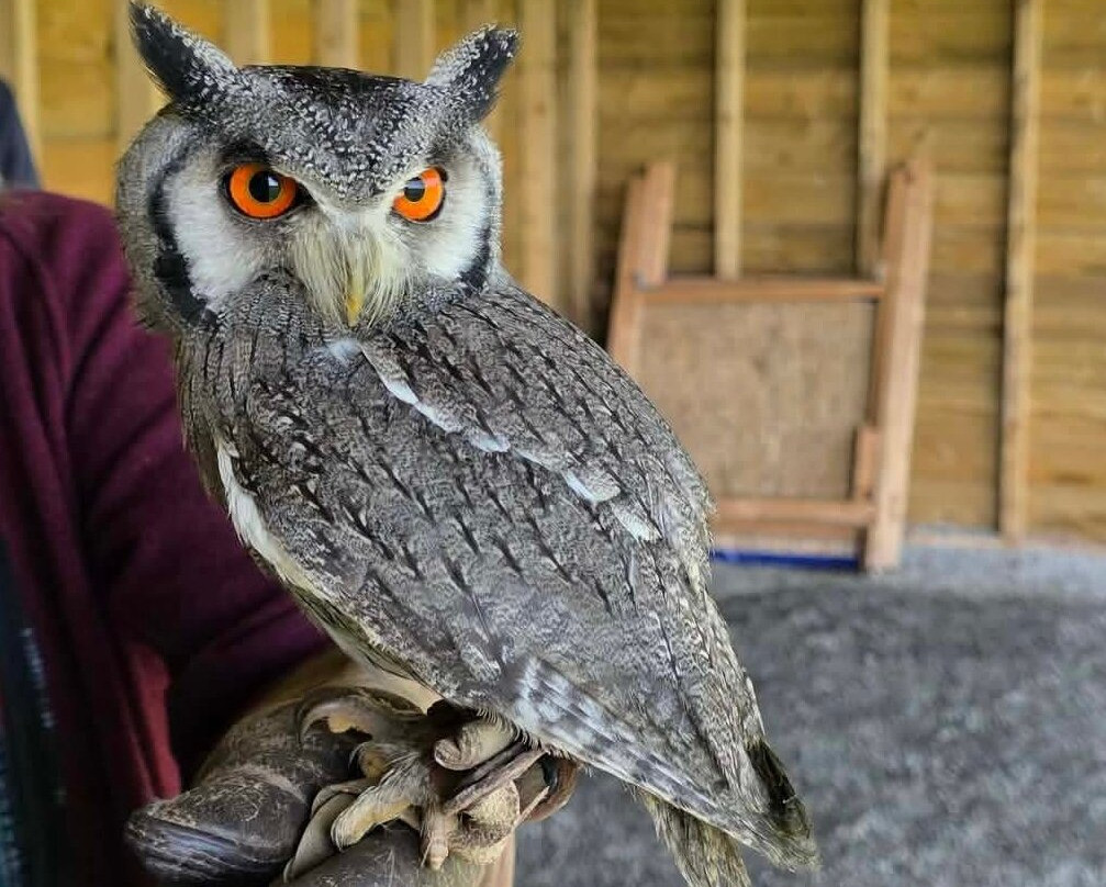 Rutland Outdoor Pursuits-Cottesmore必去景点