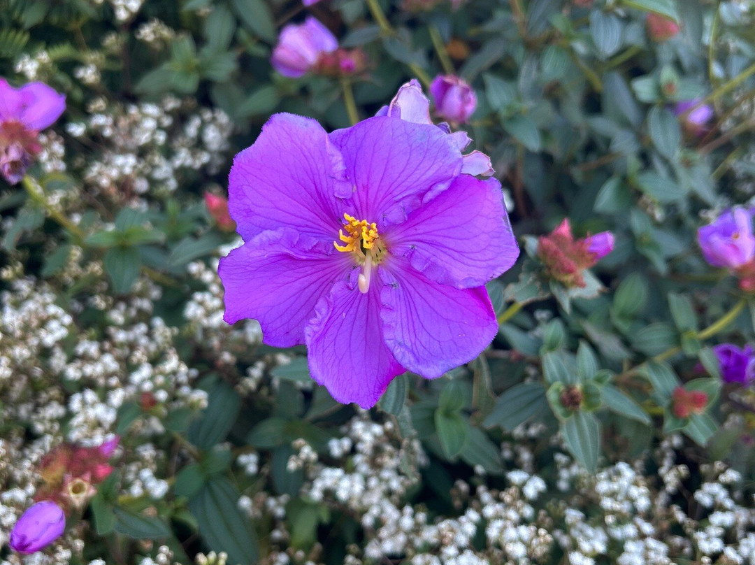 Travel Trail With Pulendran Gobi-埃勒必去景点