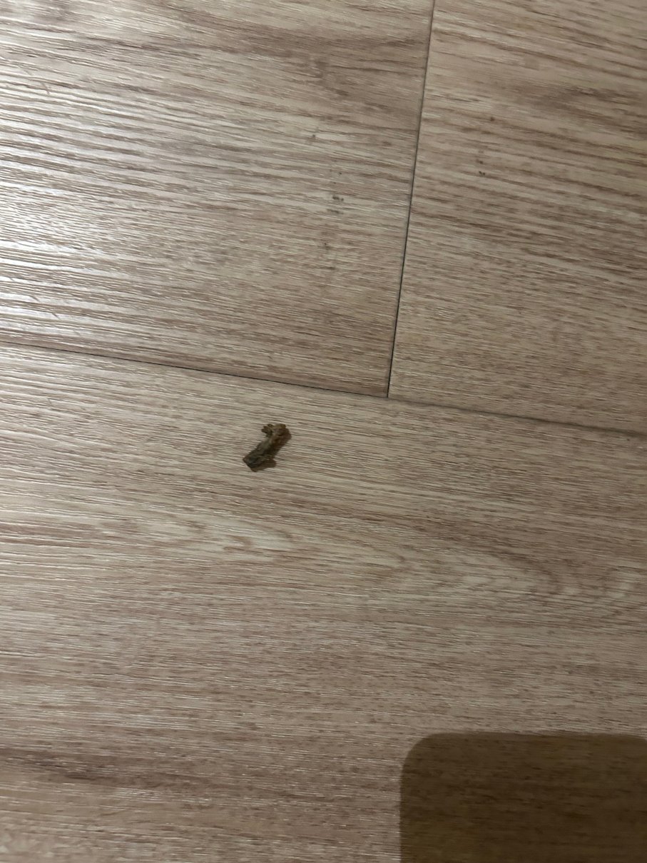 莱昂纳多酒店-埃斯林根-官方