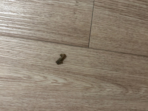 莱昂纳多酒店-埃斯林根主图