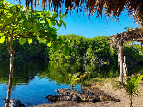 Vadhoo Travels-Puebla Municipality必去景点