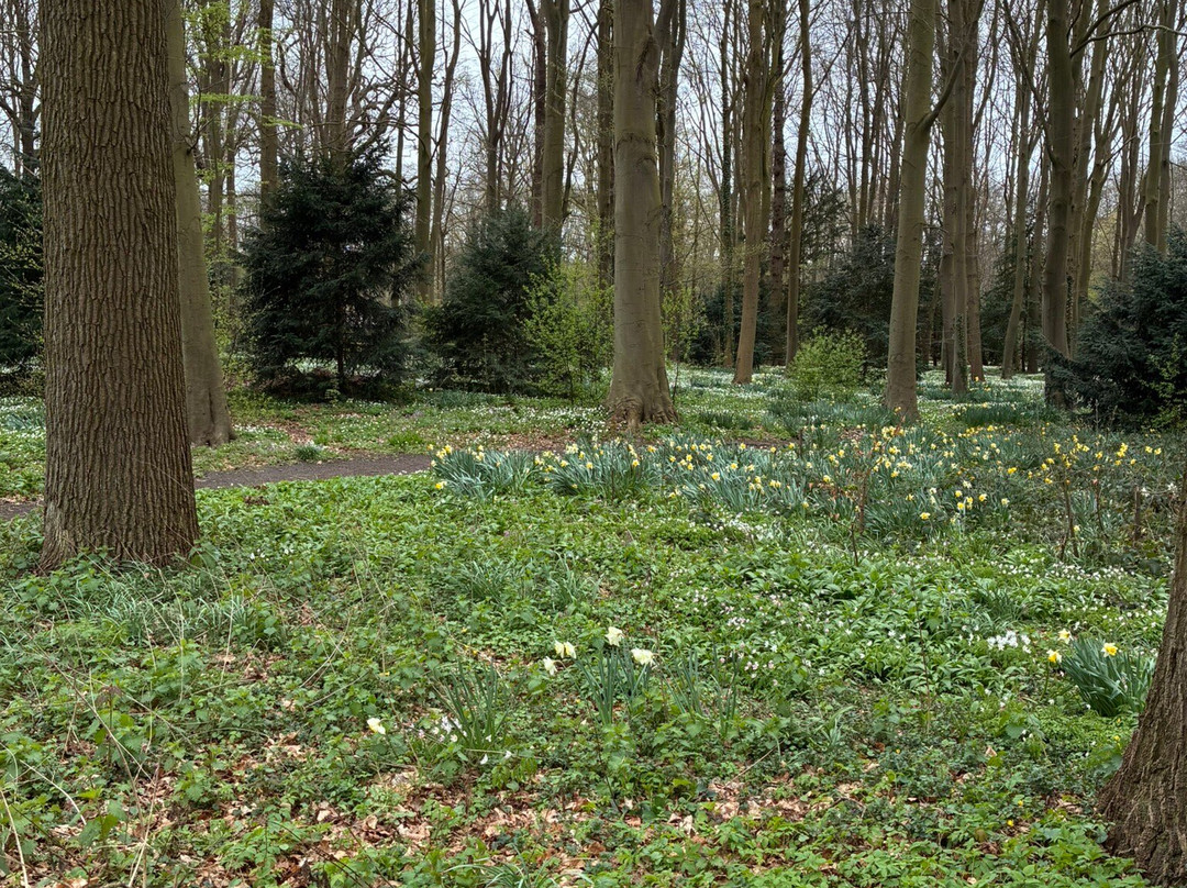 Leidse Hout Park-莱顿必去景点