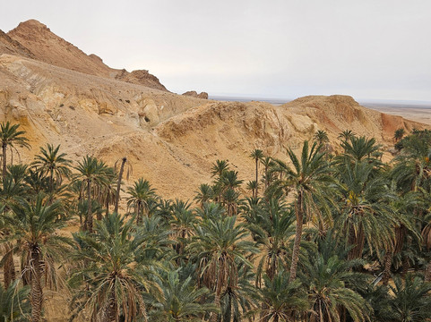 Alam Voyages-杰尔巴岛必去景点