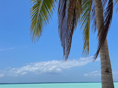 Balabac Tour By The Wanderwalkers-巴拉巴克必去景点