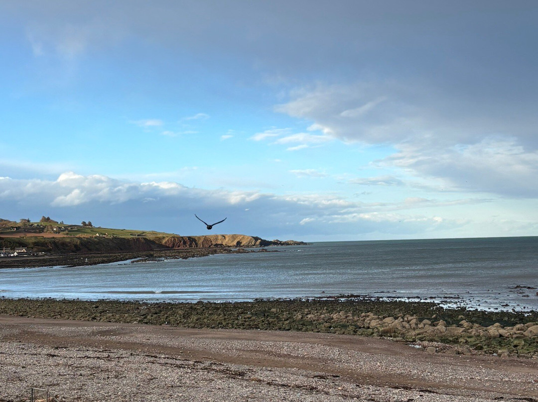 Stonehaven Beach-斯通黑文必去景点