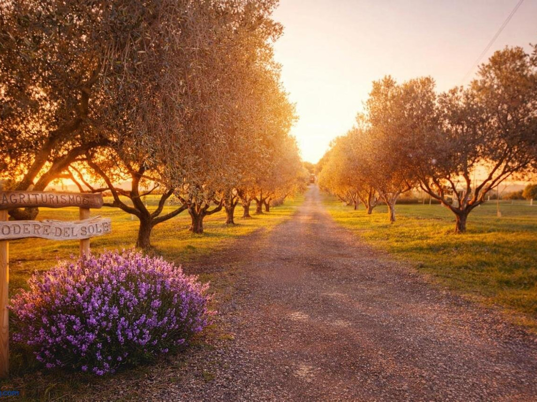 Agriturismo Podere Del Sole