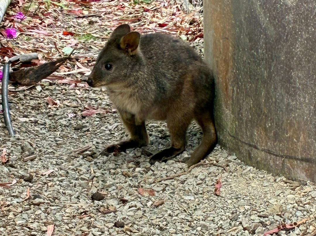 Inala Nature Tours-布鲁尼岛必去景点