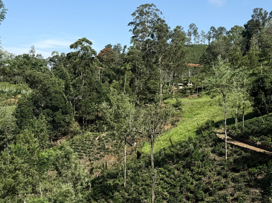 Starline Journeys-Wattegama必去景点