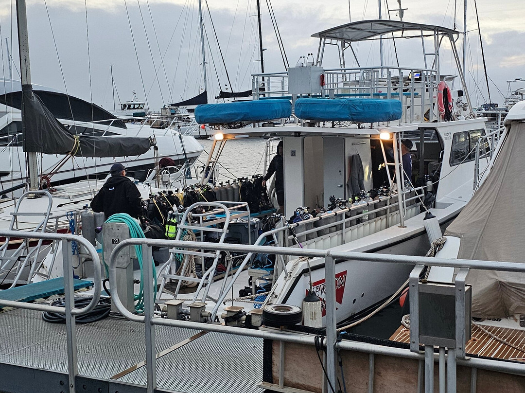 Maui Diamond Sea Sports-玛阿拉也亚必去景点