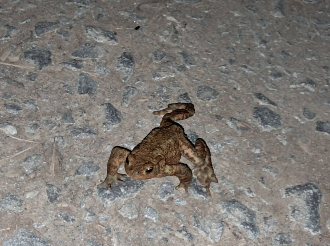 Burton Springs Fishing and Holidays-布里奇沃特必去景点