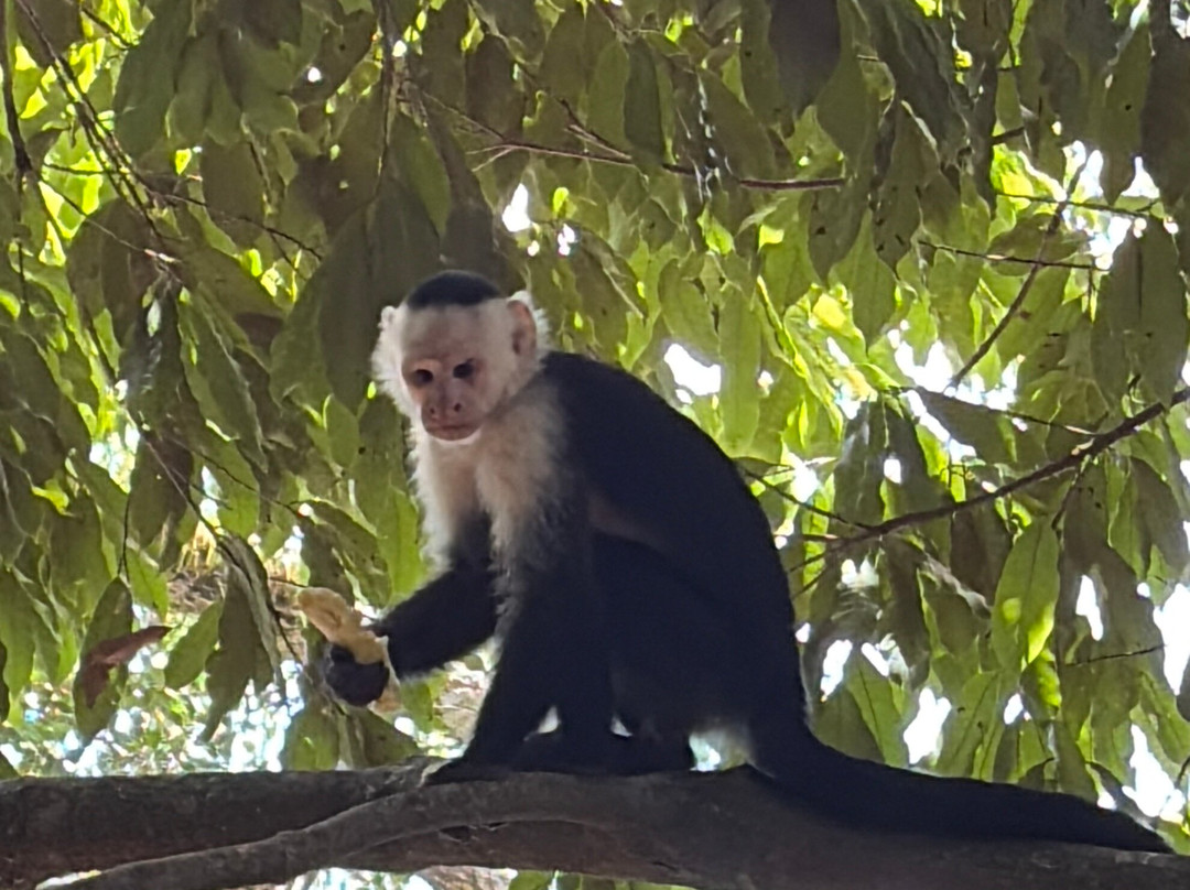 El Miro-哈科必去景点