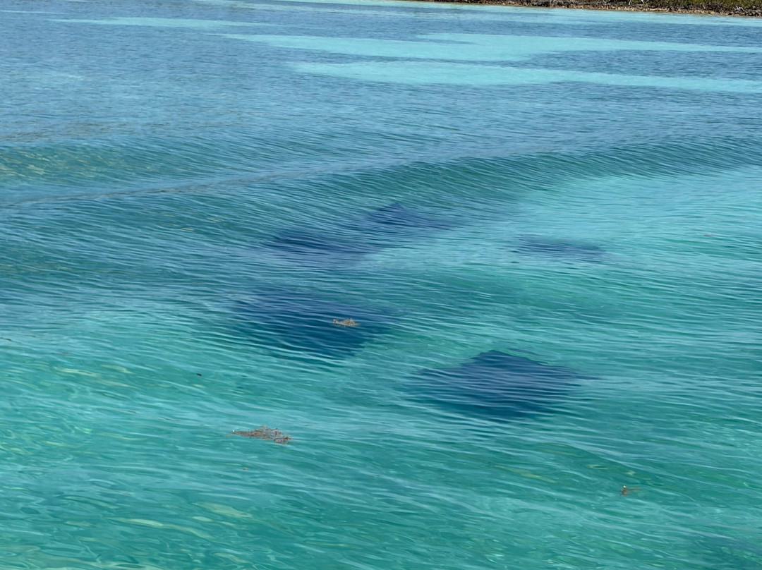 Navigare Yachting-Marsh Harbour必去景点