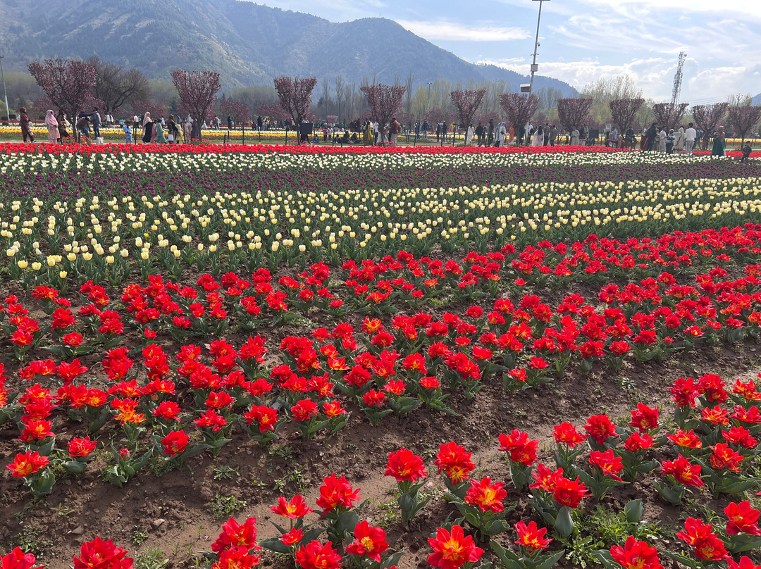The Western Mountains-Sonamarg必去景点