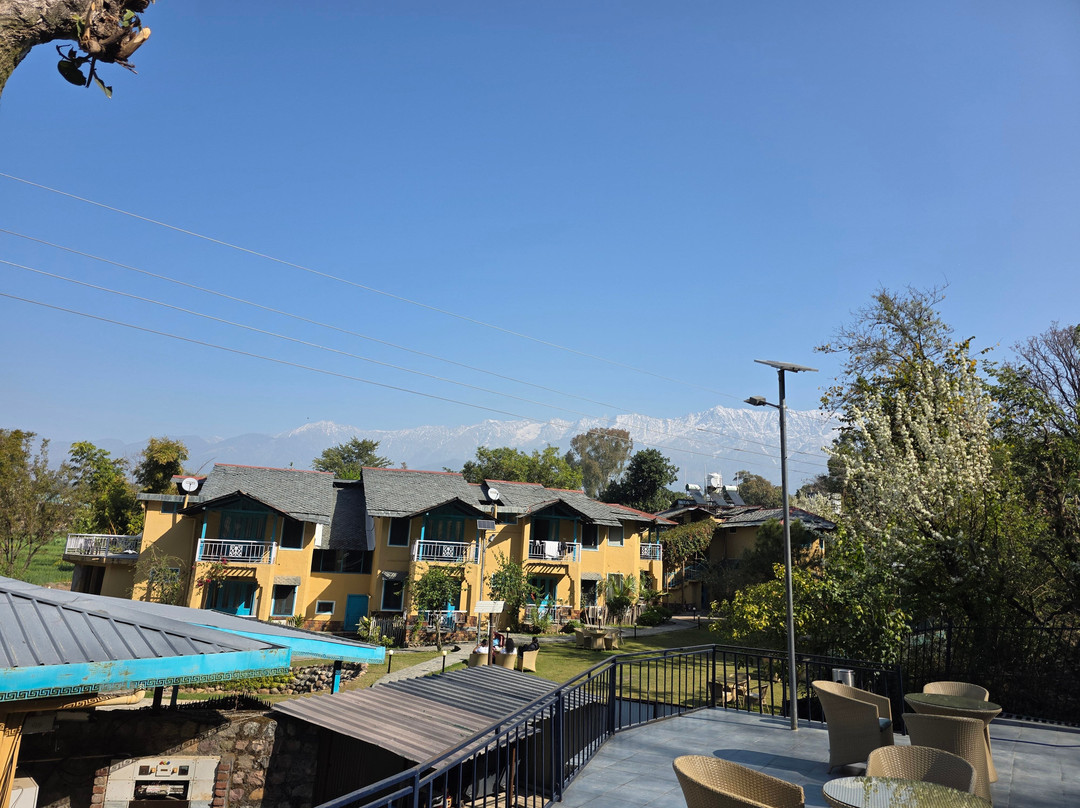 Tree of Life Birdsong Chalets主图