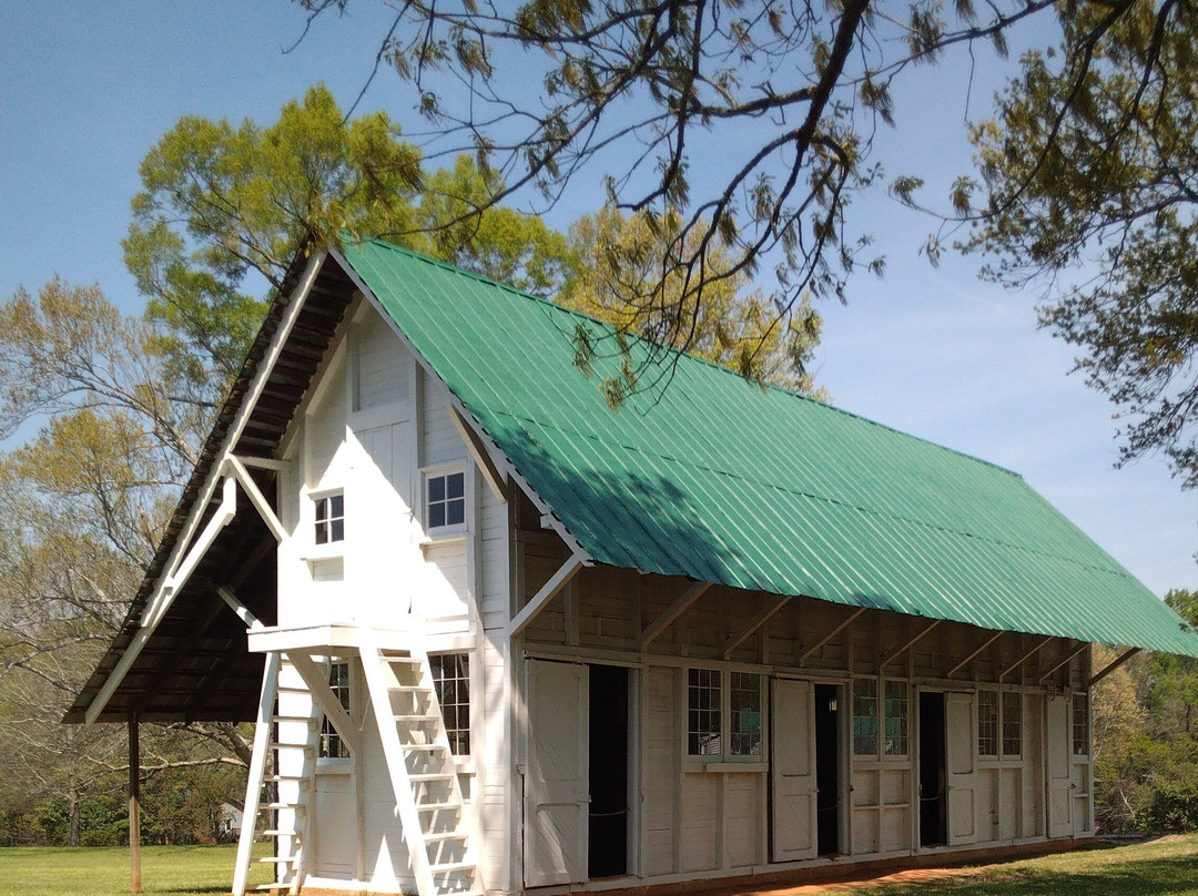 Redcliffe Plantation State-Beech Island必去景点