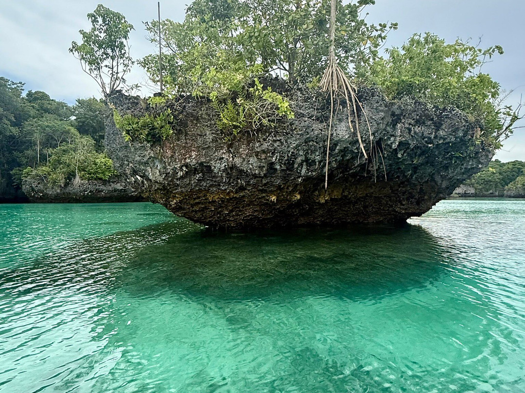Bair Island-Tual必去景点