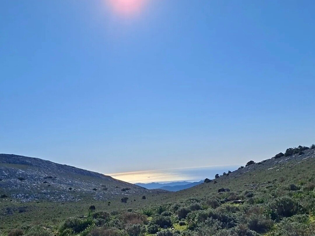 Montalbo-Siniscola必去景点