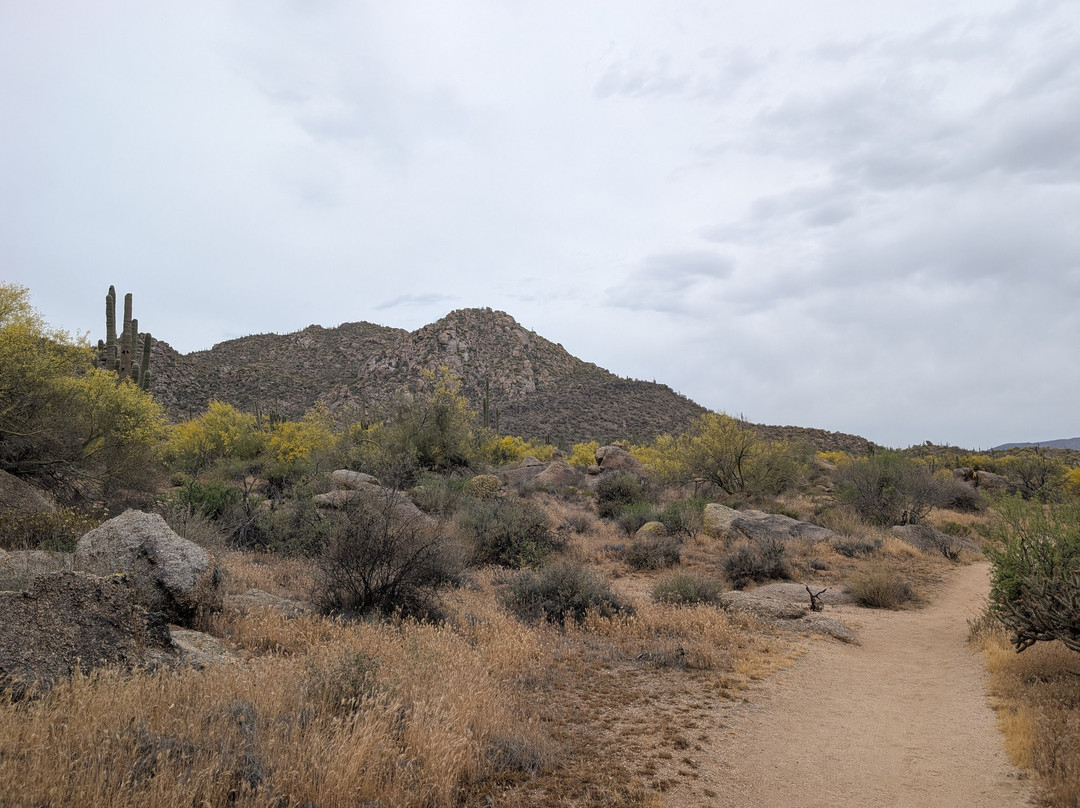 McDowell Sonoran Preserve-斯科茨代尔必去景点