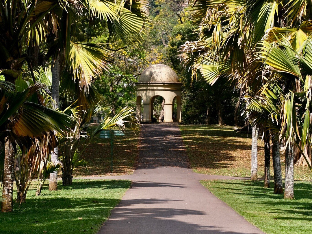 Tony Sri Lanka Tours-亚洪加拉必去景点