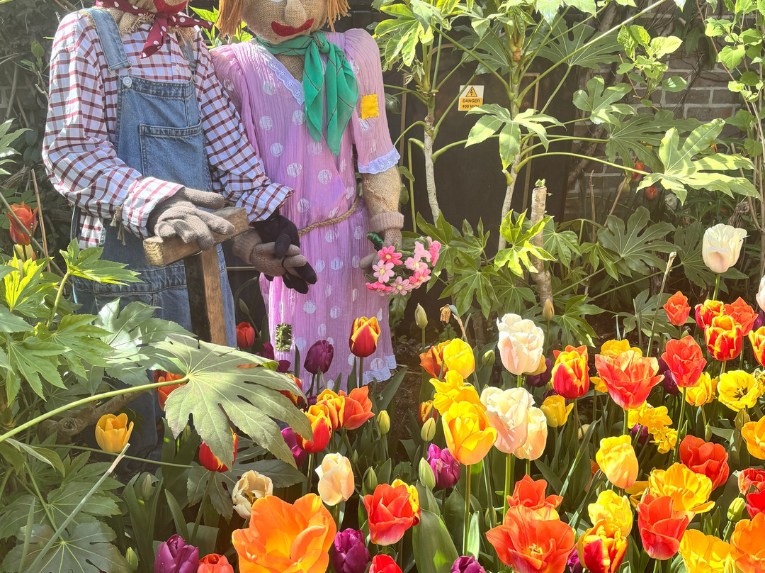 Arundel Castle-阿伦德尔必去景点