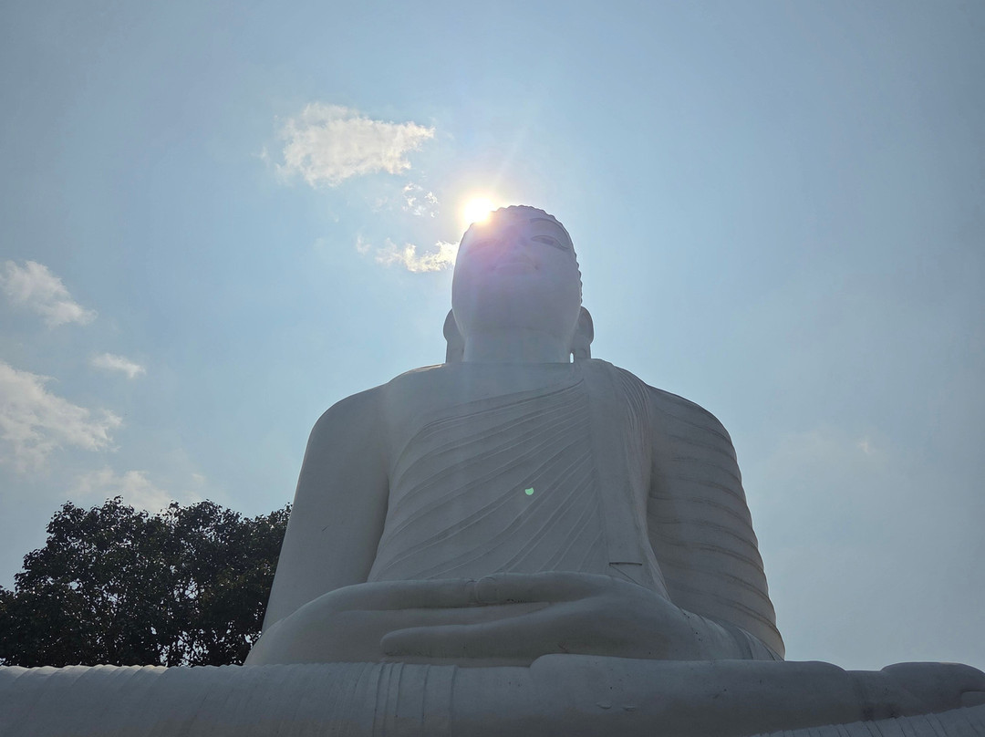 Galle Mirissa rent a motorbike and tours-加勒必去景点