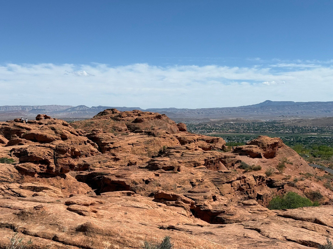 Red Hills Desert Garden-圣乔治必去景点