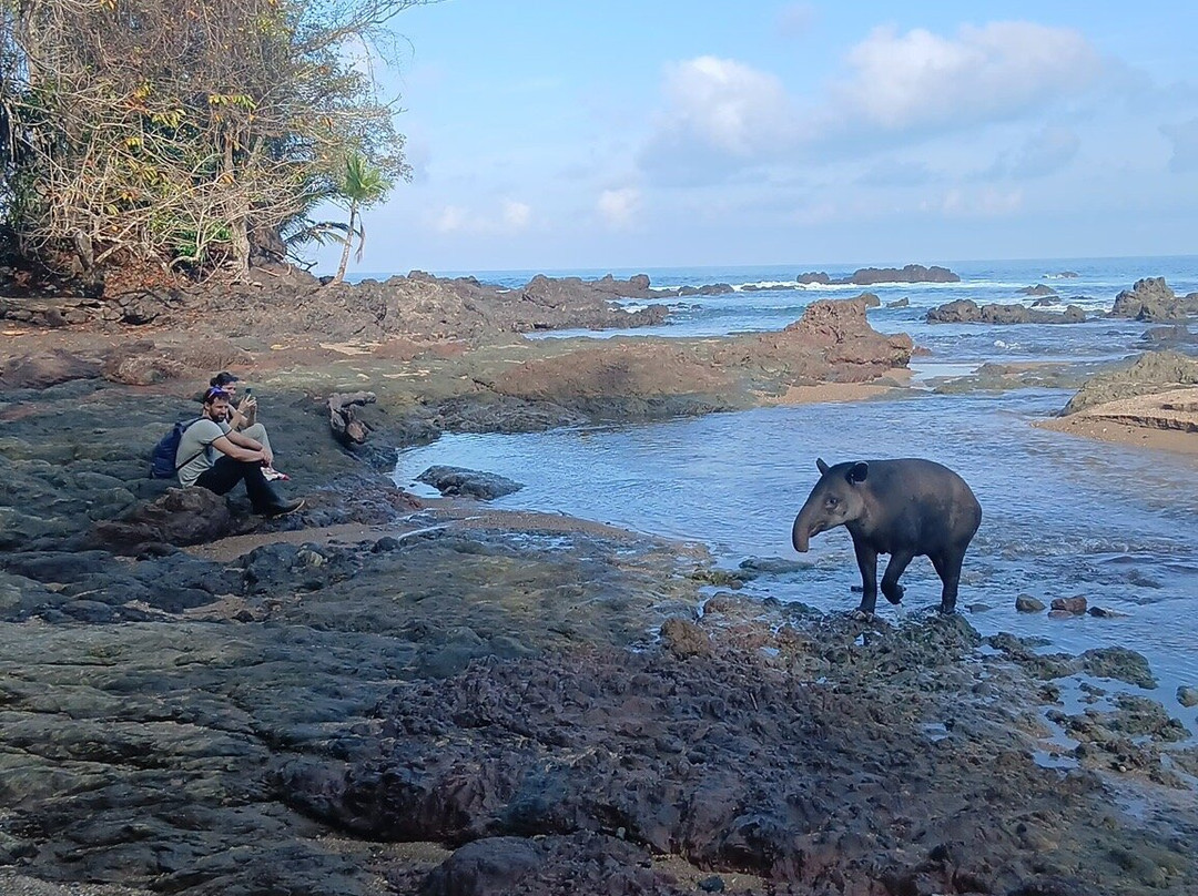Corcovado Info Center-德雷克湾必去景点