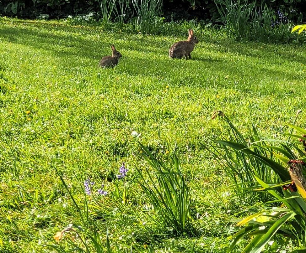 小修道院酒店主图